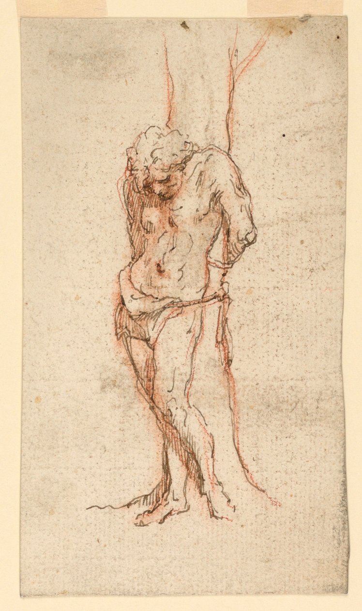 Sankt Sebastian Fedtet til et Træ af Unknown artist