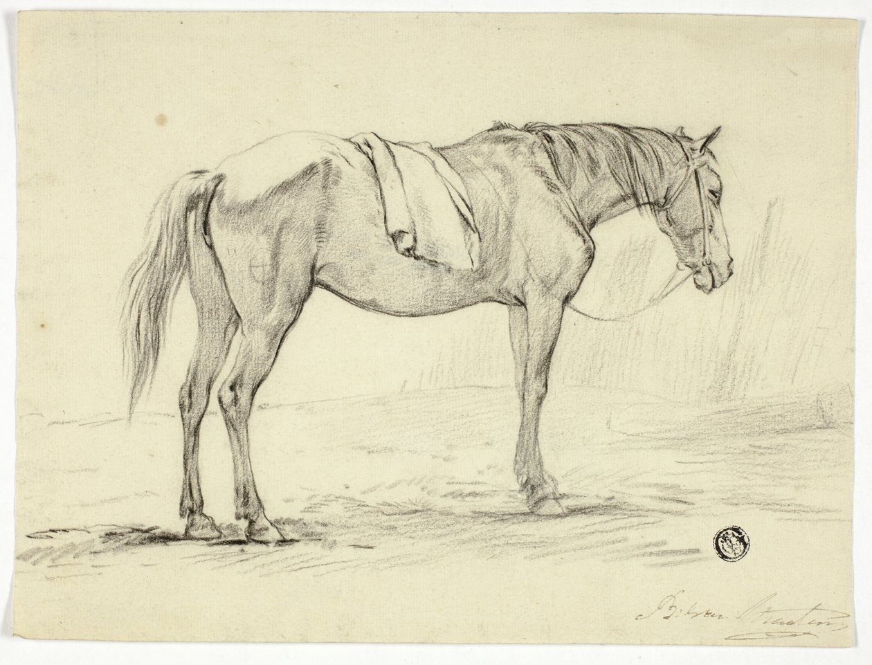 Stående Hest af Unknown artist