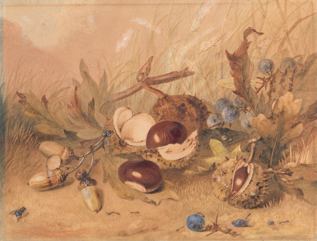 Stilleben med agern og hestekastanjer af Unknown artist