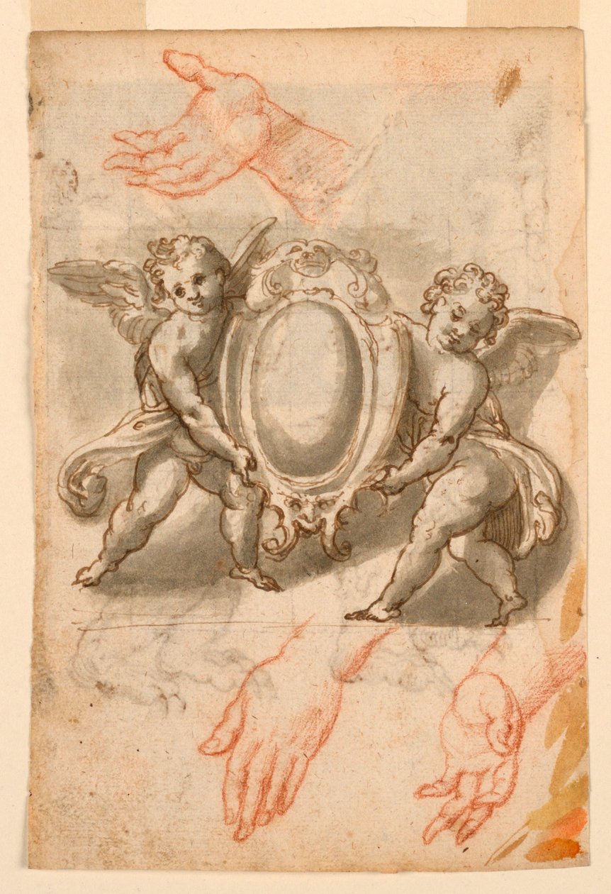 Studier af hænder og putti med et skjold af Unknown artist