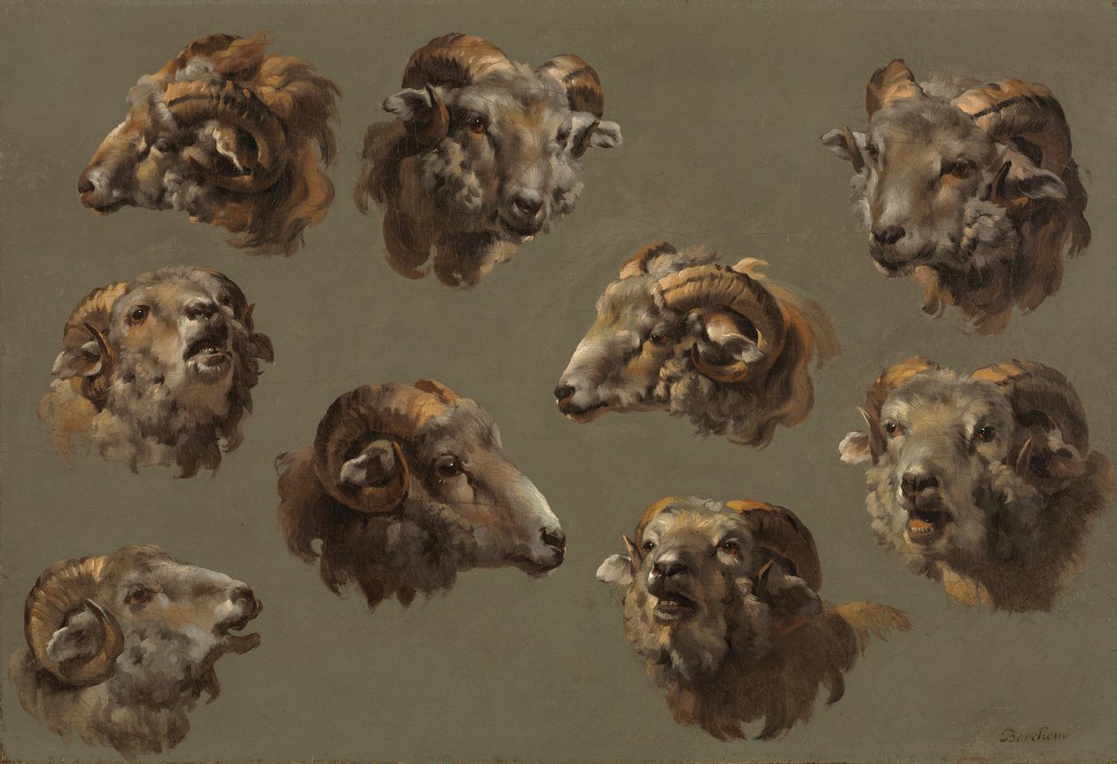 Studier af Ram Heads af Unknown artist