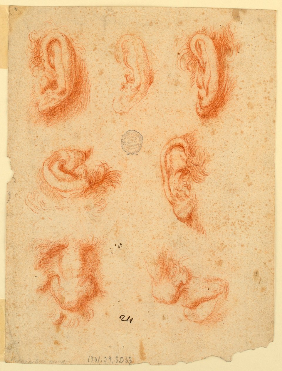 Undersøgelser af fem ører, næser og en mund af Unknown artist