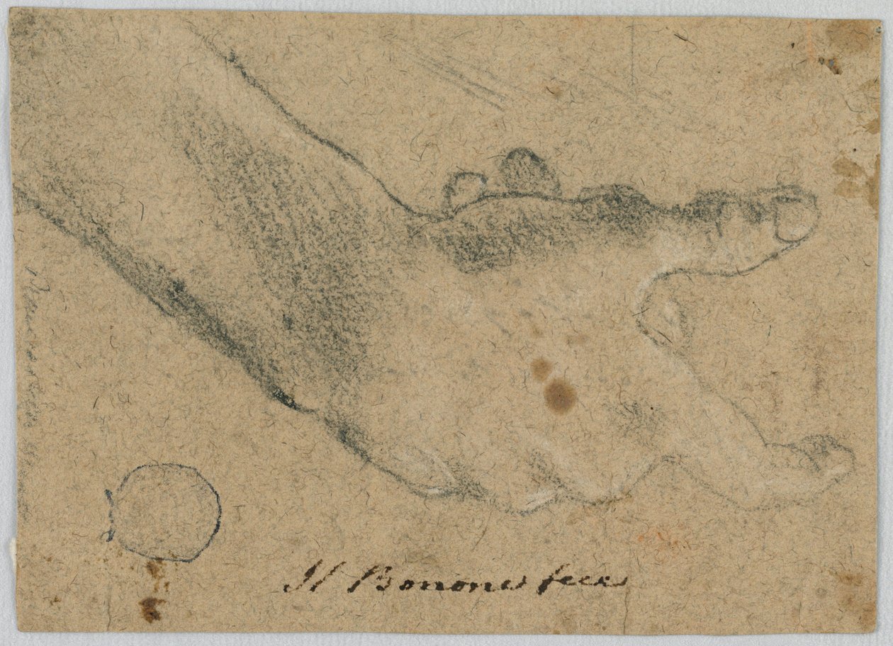 Studie: En højre hånd af Unknown artist