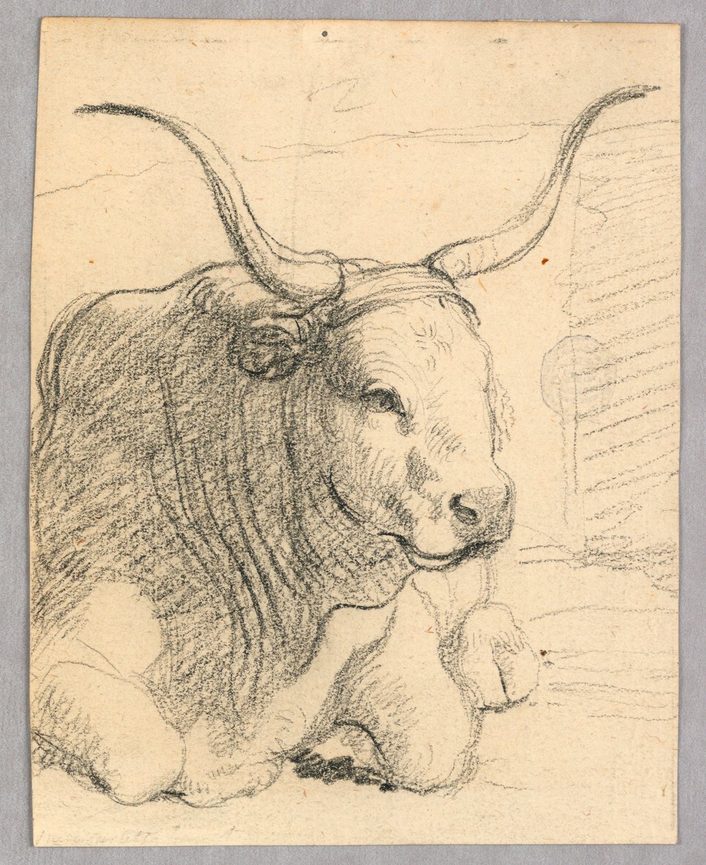 Studie: en liggende ko af Unknown artist