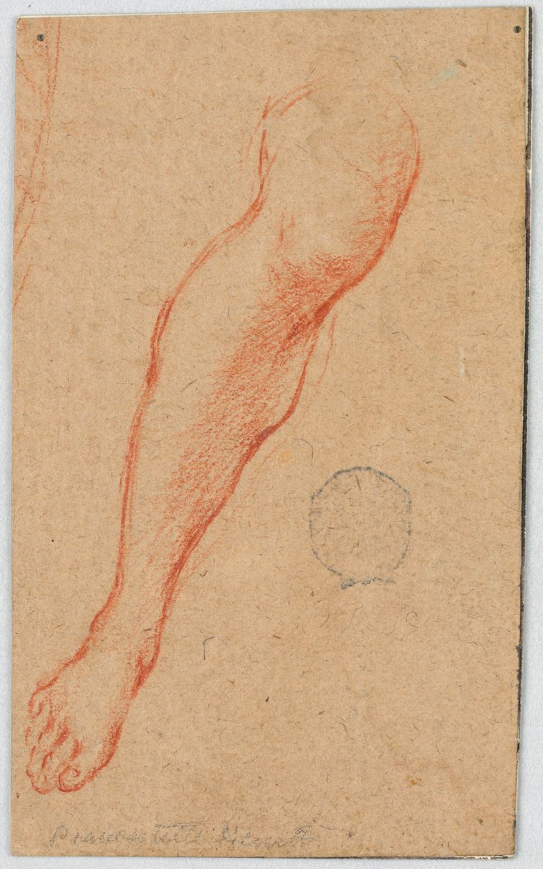 Studie til højre ben på en siddende kvinde af Unknown artist