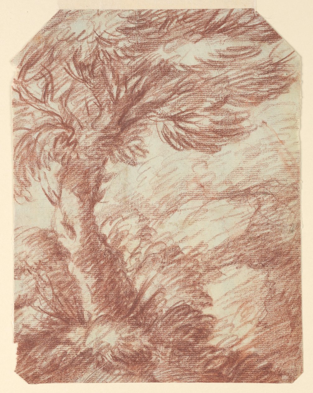 Undersøgelse af træer af Unknown artist