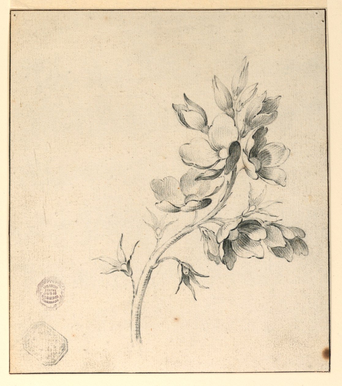 Studie af en Bough of Wild Roses af Unknown artist