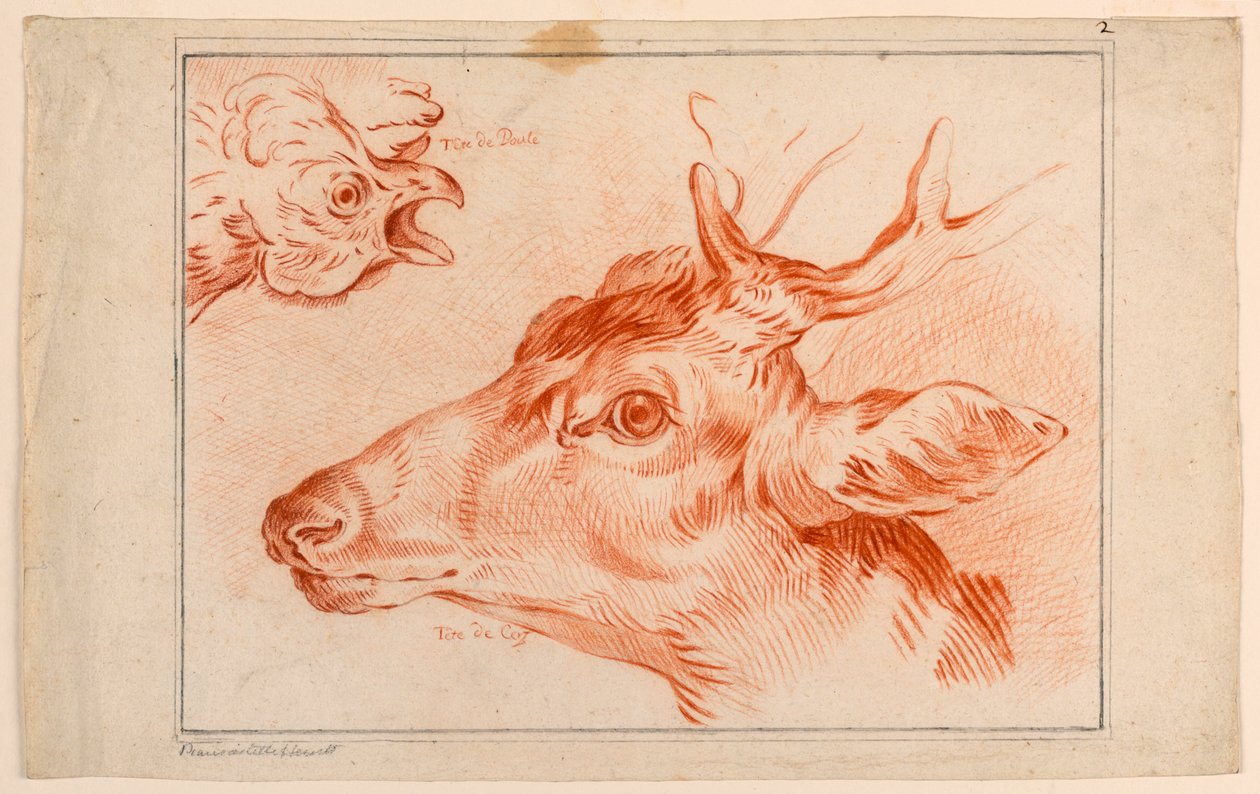 Studie af hovederne på en kylling og hjorte af Unknown artist