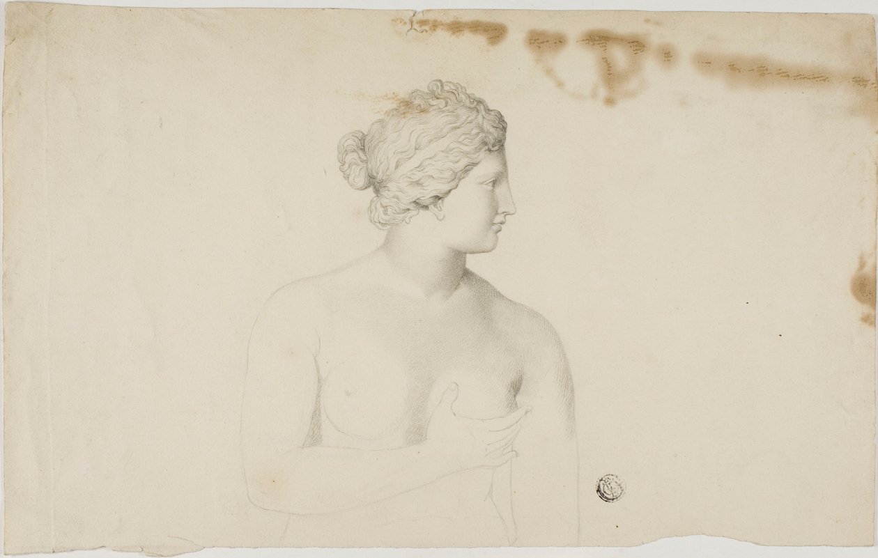 Undersøgelse af Medici Venus af Unknown artist