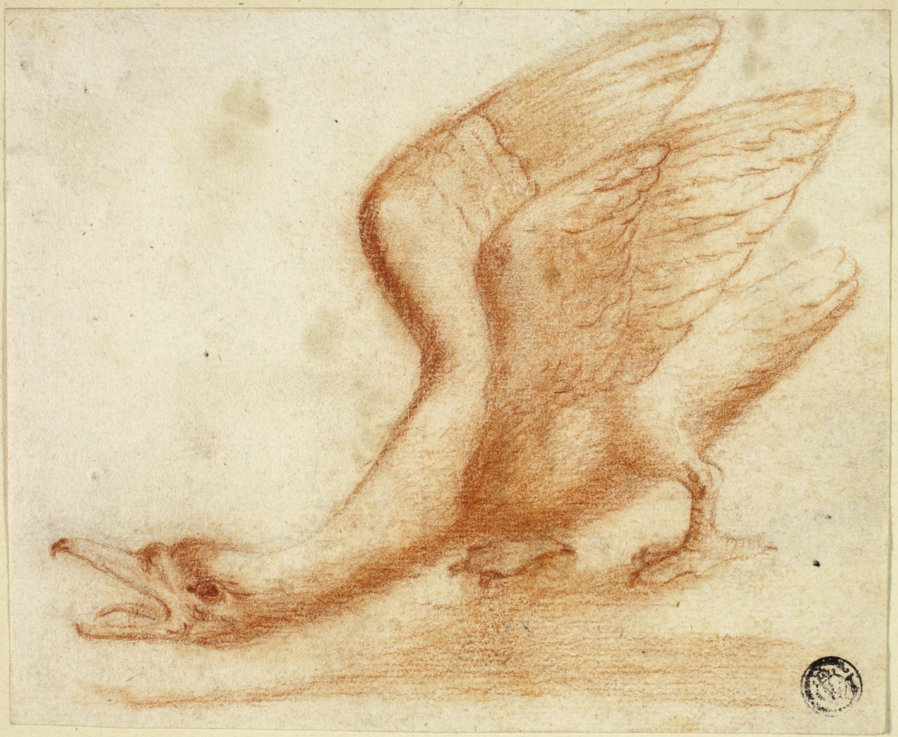 Svane af Unknown artist