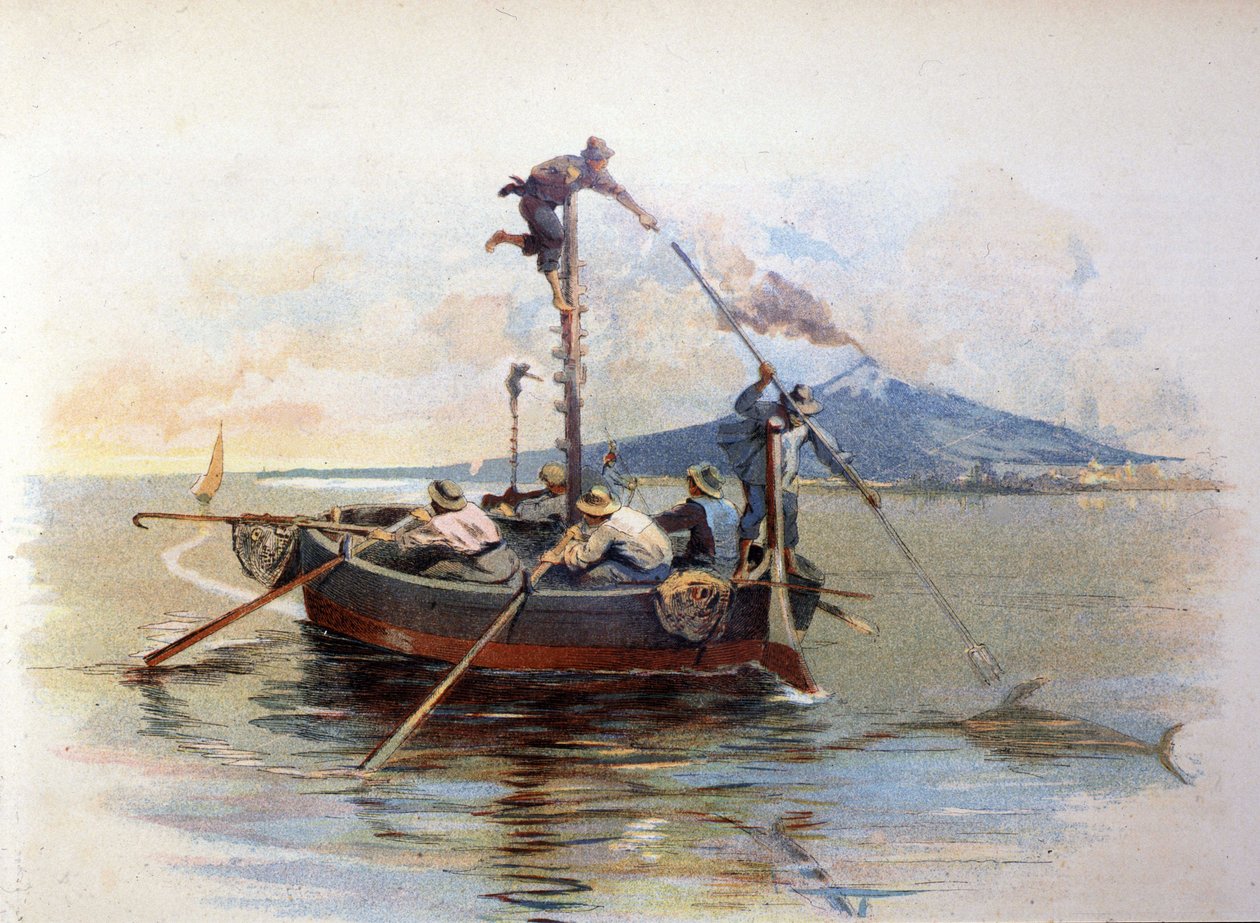 Sværdfisk harpunfiskeri i Detroit of Messina på Sicilien. Akvarel 1898 af Unknown artist