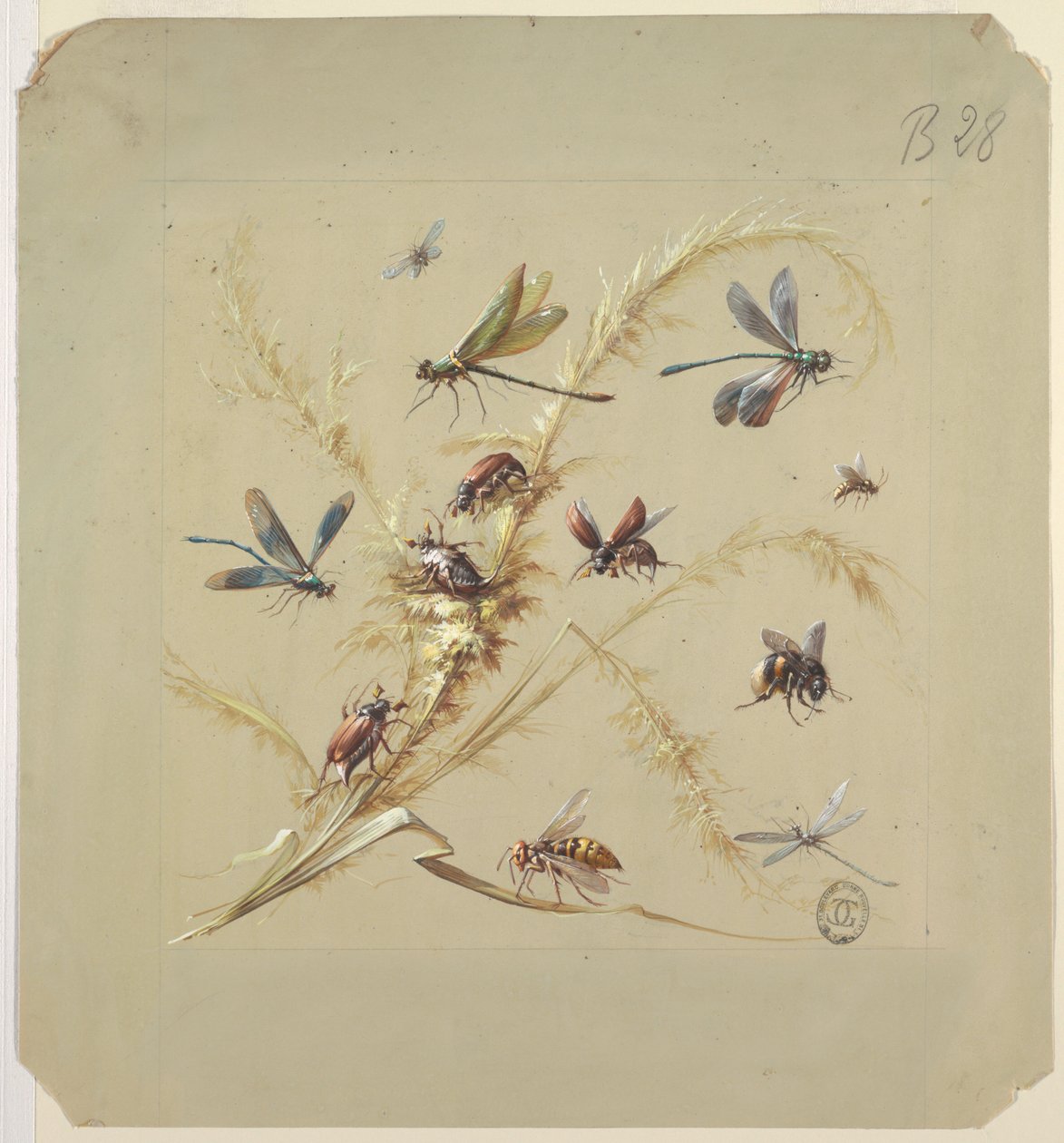 Tekstil- eller tapetdesign: Insekter af Unknown artist