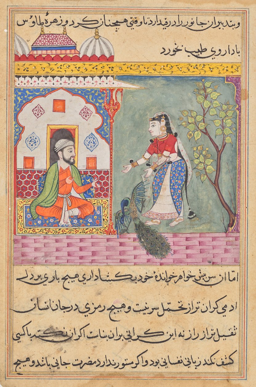 Brahmanens kone, der dræbte en påfugl og spiste dens galdeblære efter lægens råd, fra en Tuti-nama (Fortællinger om en papegøje): Nineteenth Night af Unknown artist