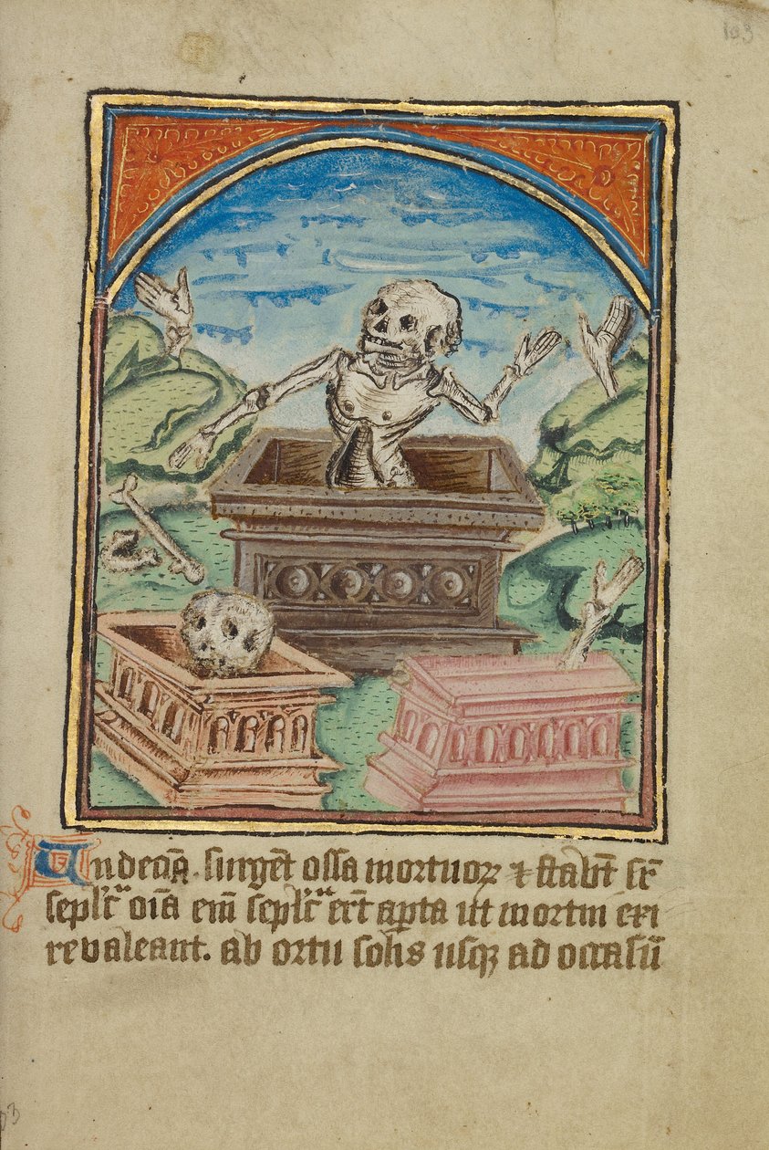 Det ellevte tegn før dommedag af Unknown artist