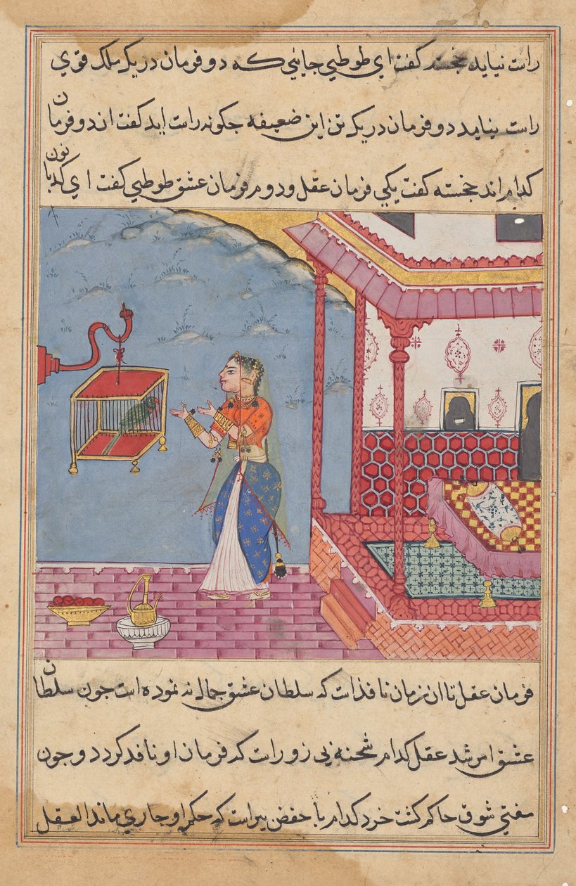 Papegøjen henvender sig til Khujasta i begyndelsen af den fireogtyvende nat, fra en Tuti-nama (Fortællinger om en papegøje) af Unknown artist