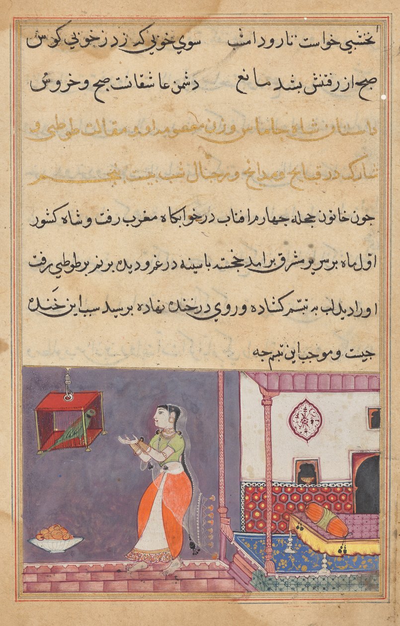 Papegøjen henvender sig til Khujasta i begyndelsen af den femogtyvende nat, fra en Tuti-nama (Fortællinger om en papegøje) af Unknown artist