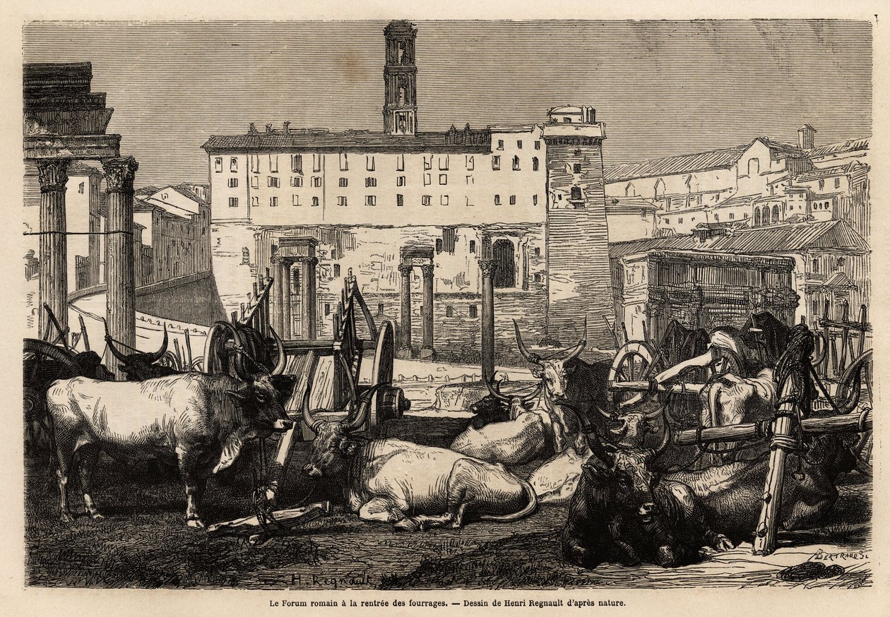 Det romerske forum har leje af foder, okserne ligger midt mellem vogne og gamle ruiner. Engravure pour illustrrer le voyage à Rome, af Francis Wey, i 1864-1868, udgivet i "" Le tour du monde""" 1869, redigeret af Edouard Charton, udgave Hachette, af Unknown artist