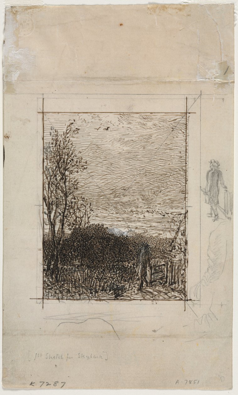Lærken af Unknown artist