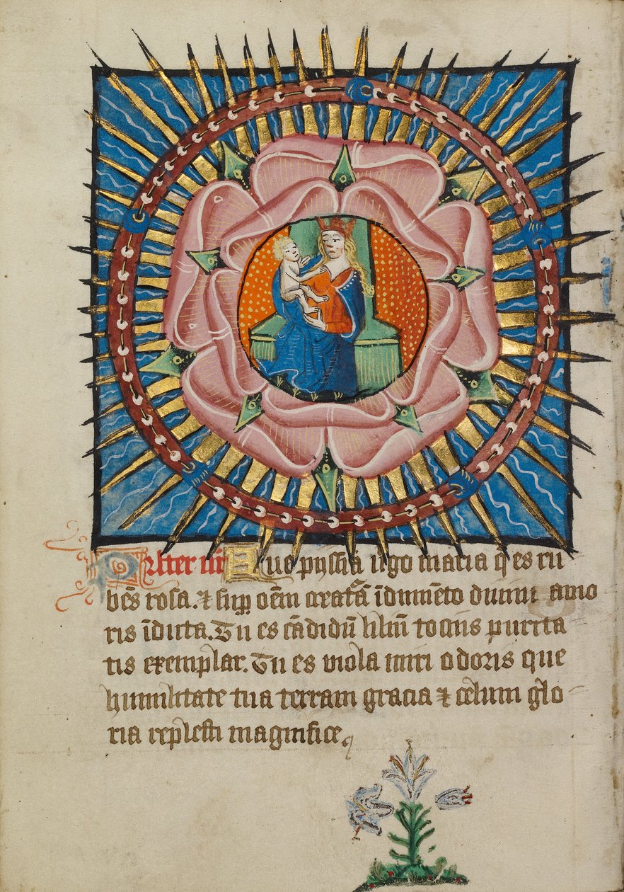 Jomfruen og barnet i en lyserød rose med en hvid lilje af Unknown artist
