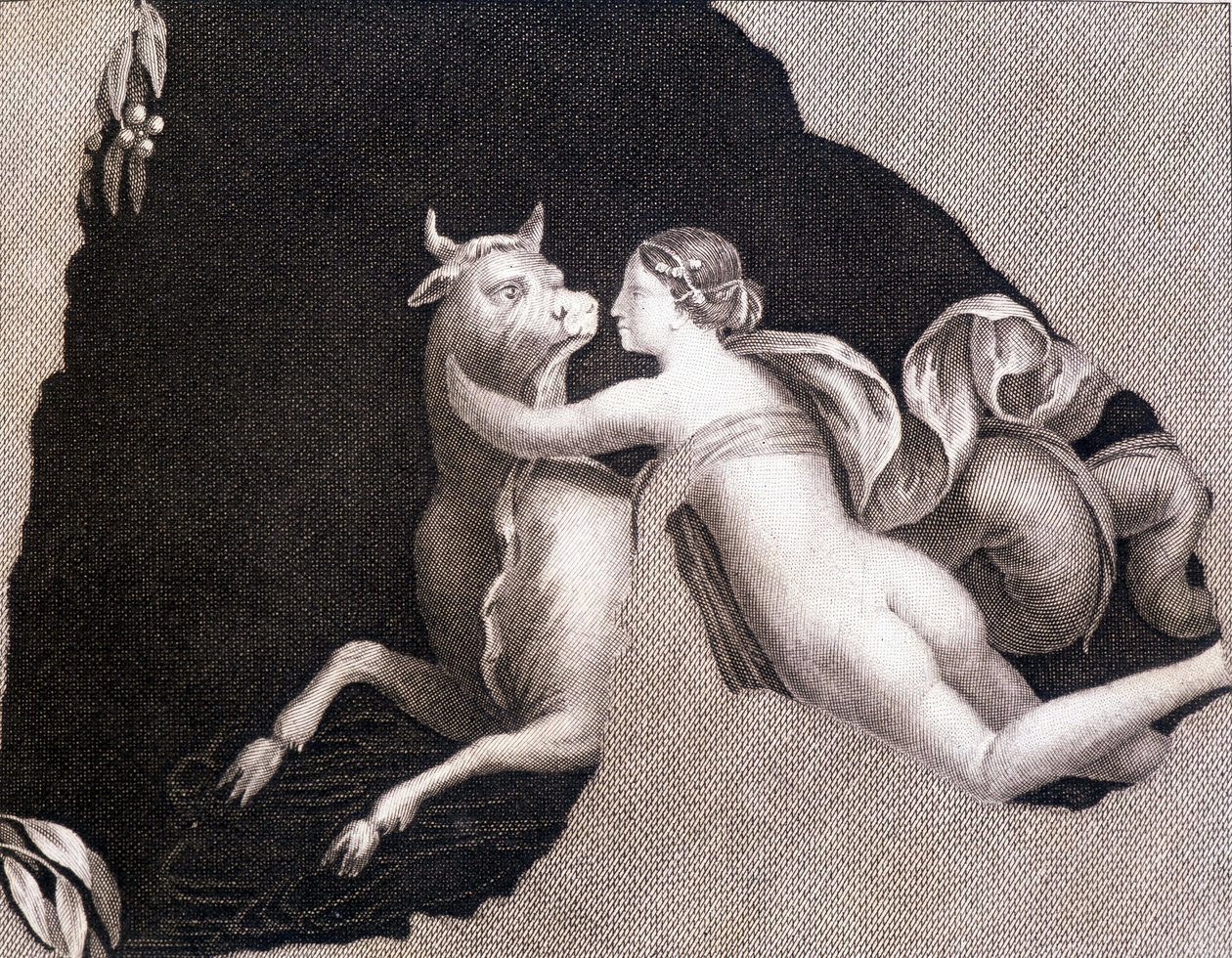 Bortførelsen af Europa - gravering af Unknown artist