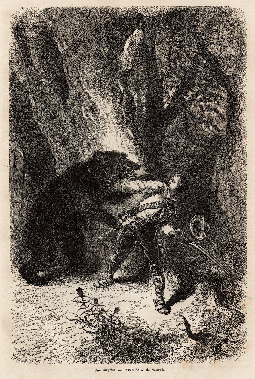 Forfatteren bliver under en udflugt rundt i Jacksonville overrasket i skoven af en tambjørn og kæde. Gravering for at illustrere historien fire måneder i Florida, af Achille Pousselgue i 1851-1852, udgivet i "" Le tour du monde"" 1870-1871, redigeret af Unknown artist