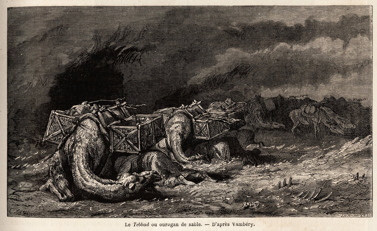 Kamelkaravanen fanget i en sandorkan kalder tebbad. Tegning af Emile Bayard (1837-1891), for at illustrere rejsen til Centralasien, i 1863, af Arminius Vambery (ungarsk videnskabsmand forklædt i dervish). Indgravering i "" Le tour du monde"", redigeret af af Unknown artist