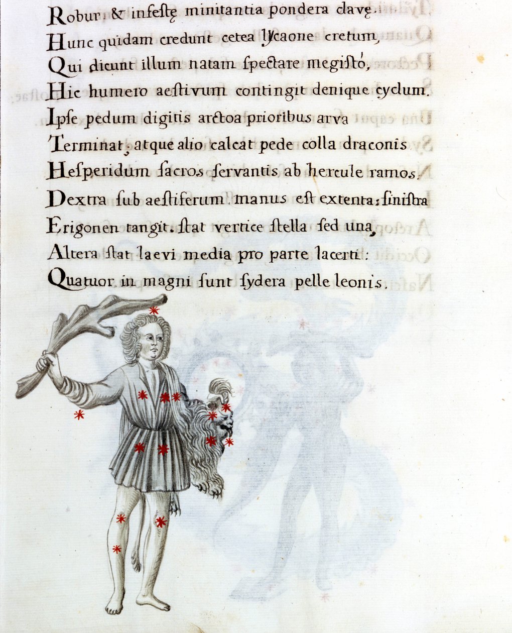 Konstellationen repræsenteret er Bouvier (eller Støvler), som støtter Berenices hår med venstre hånd. Side af et manuskript fra det 18. århundrede baseret på det originale manuskript "Astronomica" af Biasino da Parma (Blaise of Parma) (1425-1457) dateret af Unknown artist