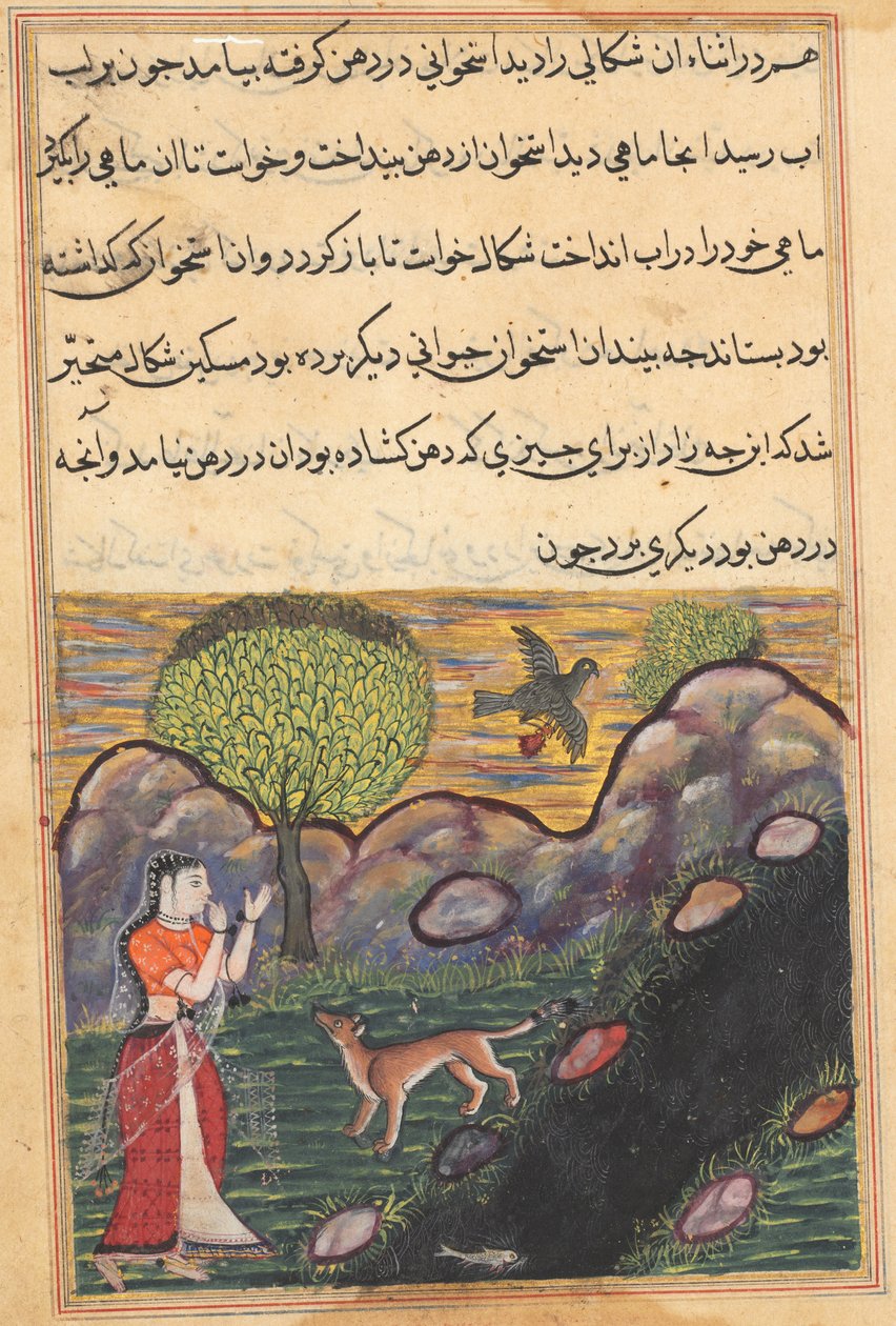 Svigerdatteren til kongen af Banaras ser sjakalen blive berøvet sin føde af en fugl, da den uden held forsøger at fange en fisk fra en Tuti-nama (Fortællinger om en papegøje): Sixteenth Night af Unknown artist