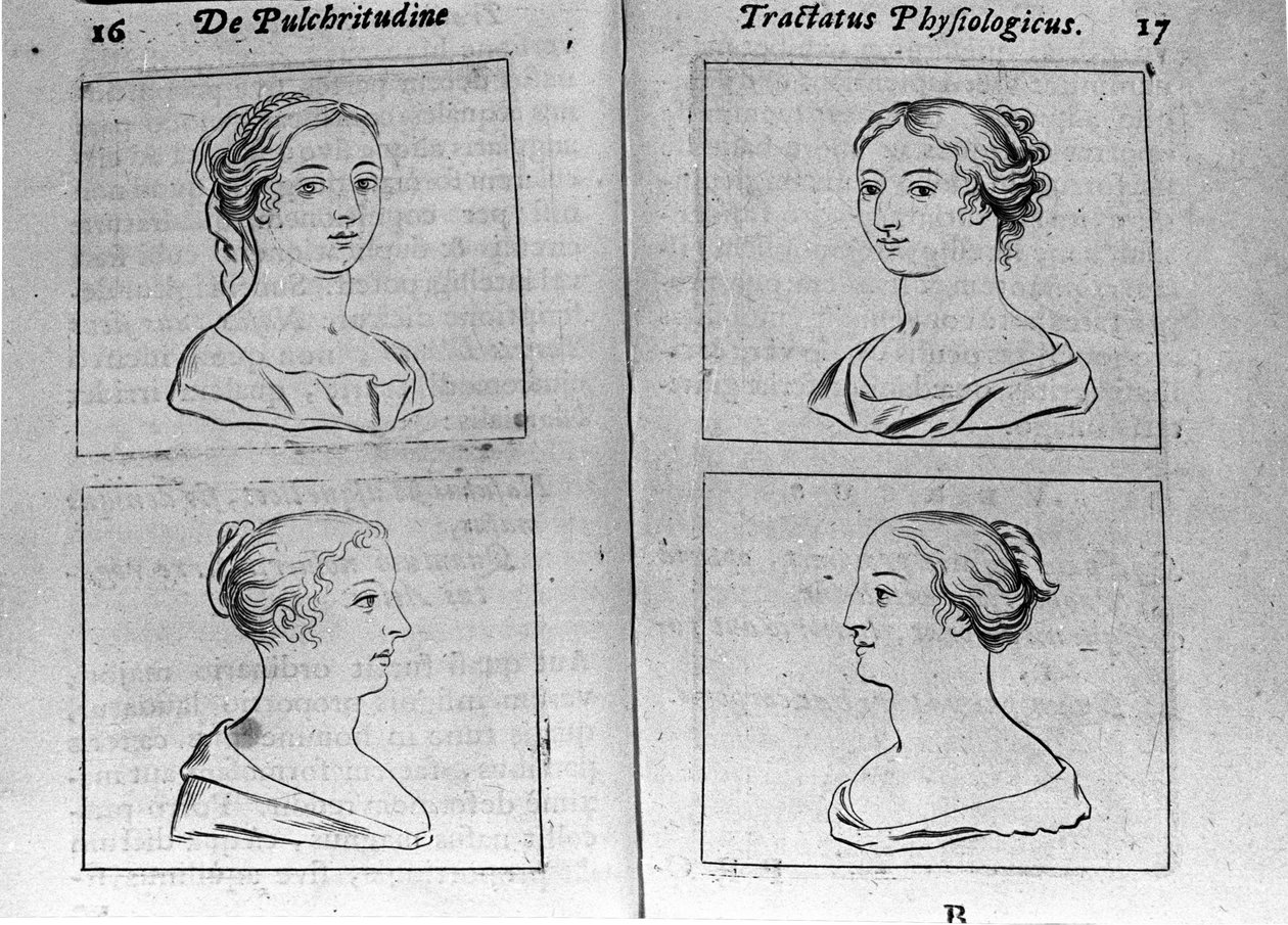 De forskellige kvindelige profiler Page taget fra "Tractatus physiologicus de pulchritudine"" omhandler Ernesto Venio (Ernestus Vaenius), der forsvarer skabelsens skønhed mod en anonym modstander. 1612 af Unknown artist