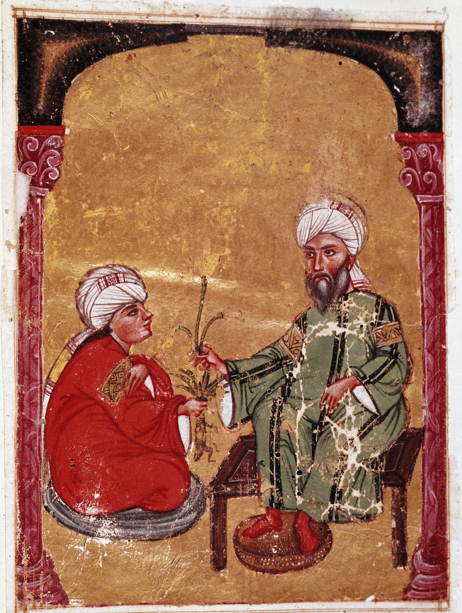 Lægen og botanikeren Pedanius Dioscoride (Pedanius Dioscorides) (40-90 e.Kr.) sidder med en af sine elever Miniature fra hans afhandling "De materia medica"" (ms Ahmed III, 2147, folio 217a) 1229 Topkapi Sarayi Museum Library, Istanbul af Unknown artist