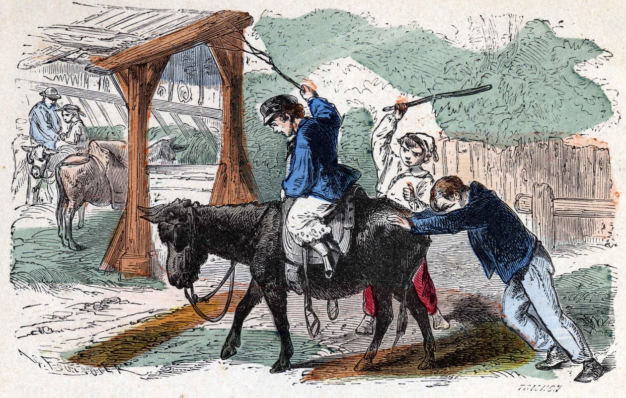 Æslet i gården. 1800-tals illustration. Bianchetti samling. af Unknown artist