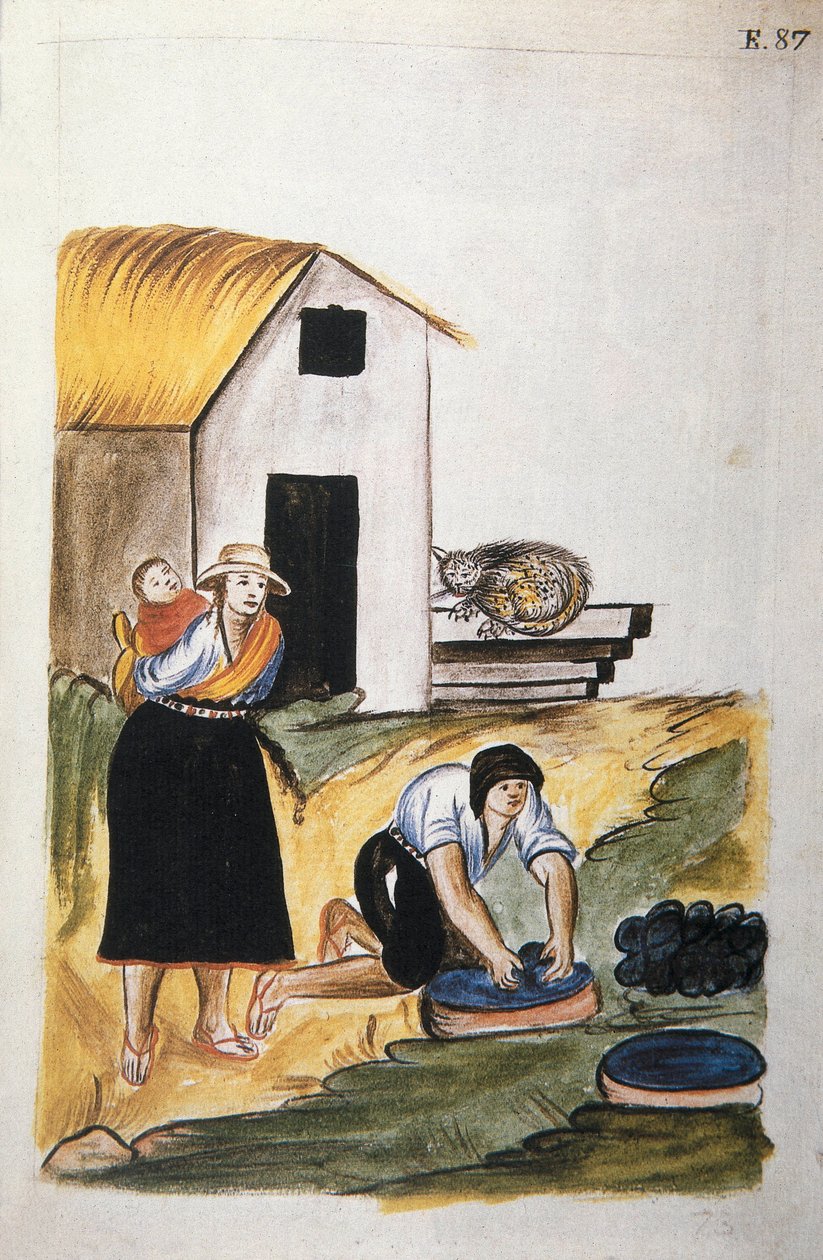 Farvning af uld, fra bogen "Trujillo of Peru" eller "Codex Martinez Companion", af Baltazar Martinez Companion og Bujanda, biskop af Trujillo (1782-1785) af Unknown artist