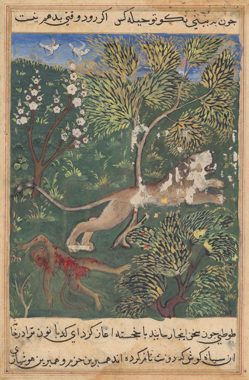 Løven, der mistænker forræderi fra abens side, dræber ham og flygter fra en Tuti-nama (Fortællinger om en papegøje): Niogtyvende nat af Unknown artist