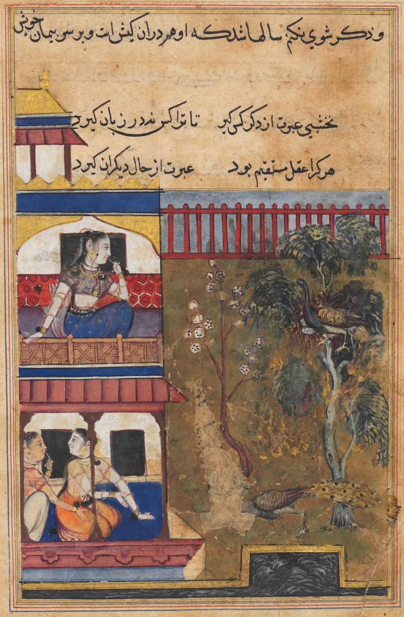 Dronningen af Rom ser på, at pånen foretrækker at brænde i stedet for at opgive sine æg, mens påfuglen flygter fra reden, fra en Tuti-nama (Fortællinger om en papegøje): Niogtredive nat af Unknown artist
