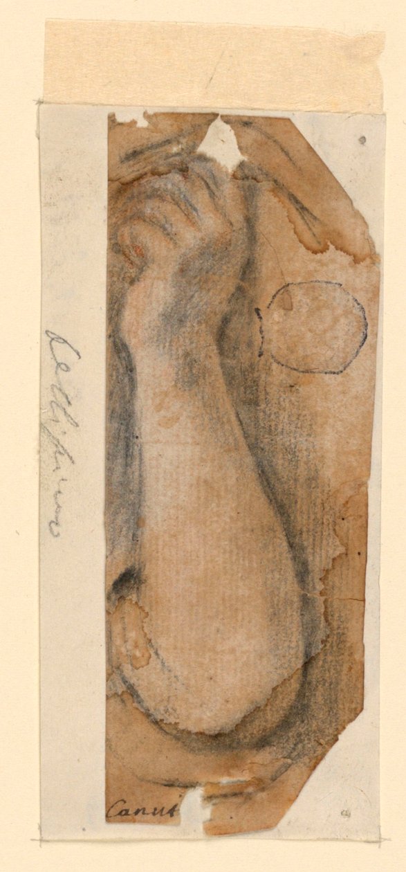 Den løftede underarm af en kvinde af Unknown artist