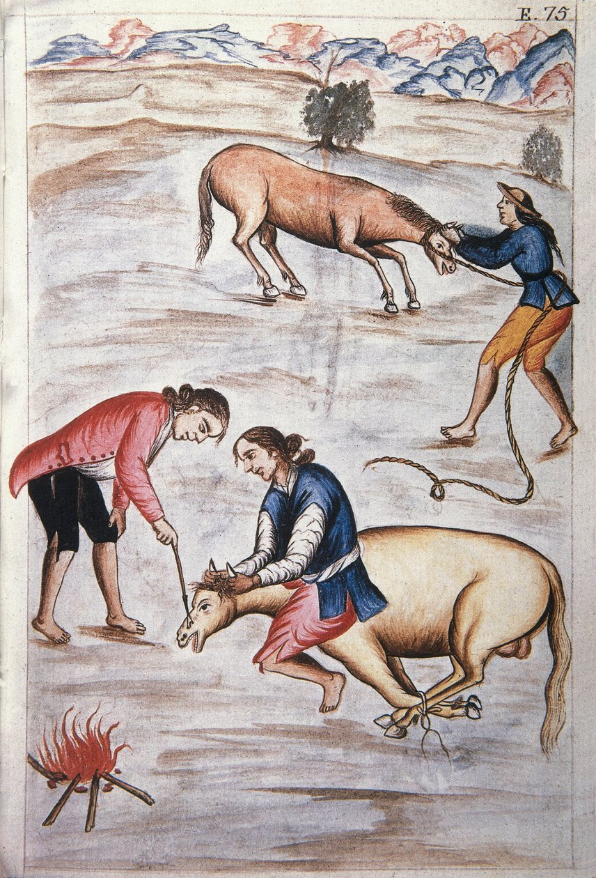 Den røde jernmærke af en hoppe, fra bogen "Trujillo del Peru" eller "Codex Martinez Companion", af Baltazar Martinez Companion og Bujanda, biskop af Trujillo (1782-1785) af Unknown artist