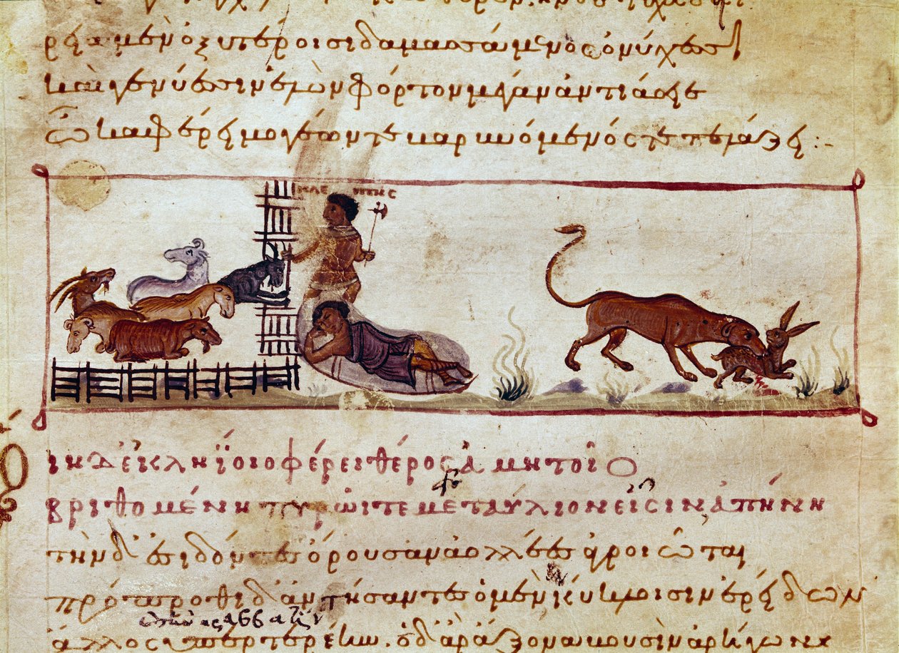 Fårenes avl, til højre fortæres en hare af et miniaturedyr taget fra jagtmalkningen ""The Cynegetics"" af Oppian (Oppian eller Oppianus) fra Syrien (3. århundrede e.Kr.) dedikeret til Caracalla. Venedig fra det 11. århundrede. Biblioteca Marciana af Unknown artist