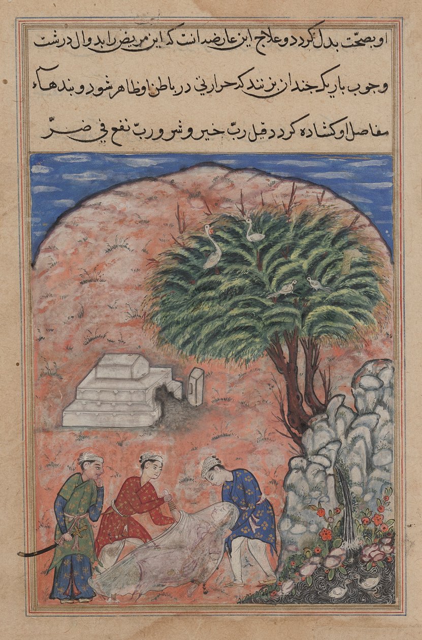 Bejlerne tager den hengivne datter ud af hendes grav efter at have brudt den op, da lægen opdager, at hun stadig er i live, fra en Tuti-nama (Tales of a Parrot): Twentieth Night af Unknown artist