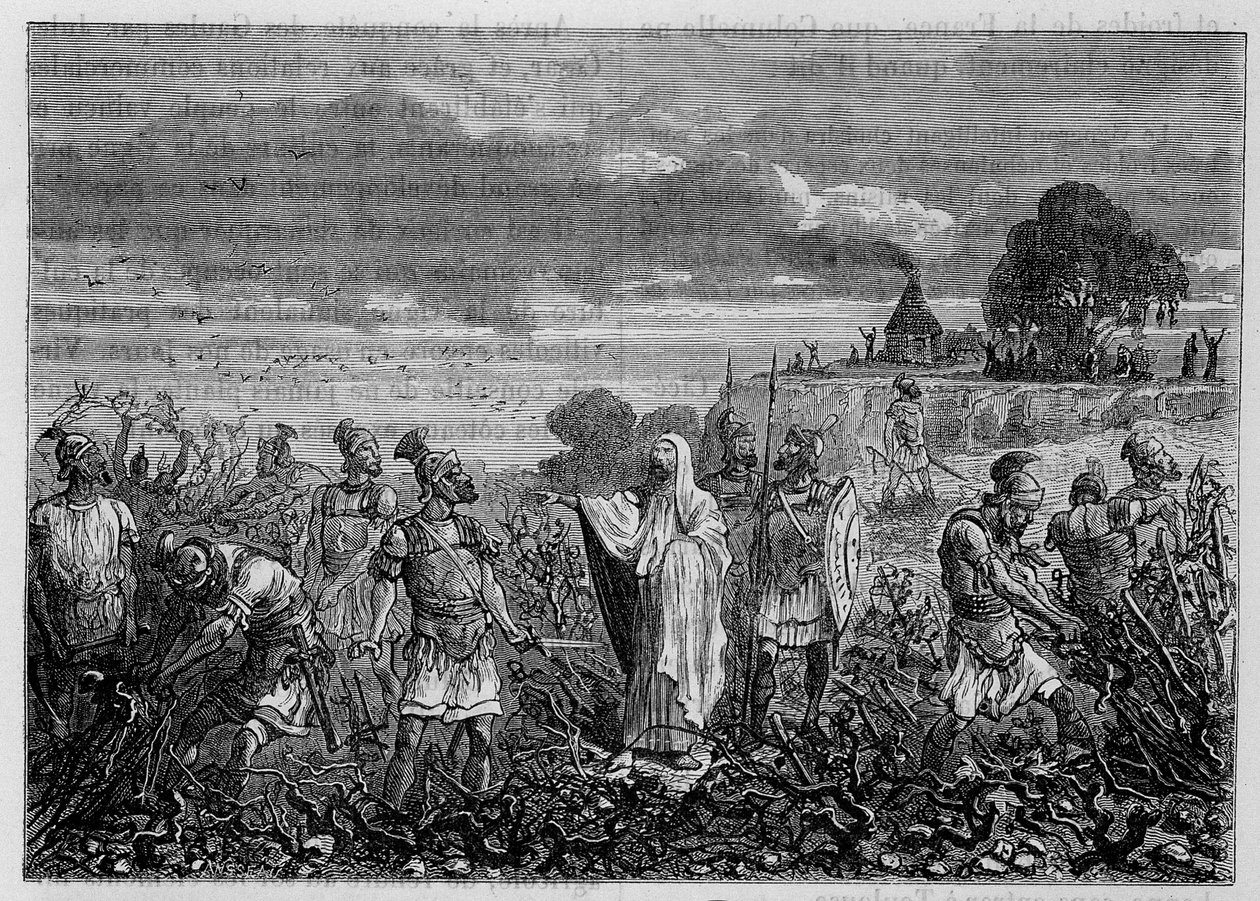 Vinstokkene rykket op med rode i gallerne, efter ordre fra kejser Domitian - i "" Industriens vidundere"" af Louis Figuier, Paris af Unknown artist