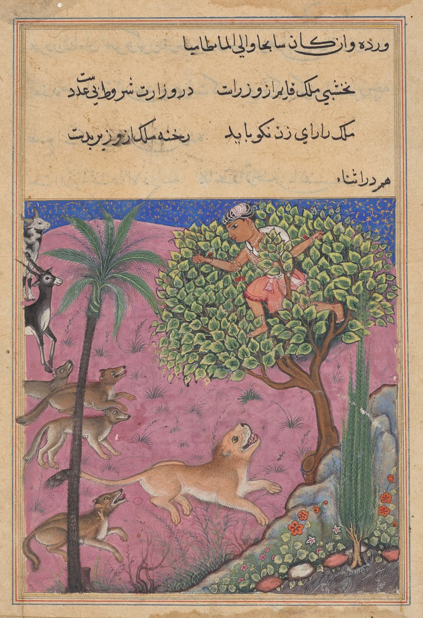 Ulven og sjakalen, der tjener som vesirer, anstifter løven, der forfølger Brahmanen op i et træ, fra en Tuti-nama (Fortællinger om en papegøje): Enogtyvende nat af Unknown artist