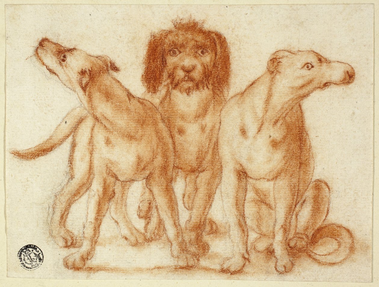 Tre Hunde af Unknown artist