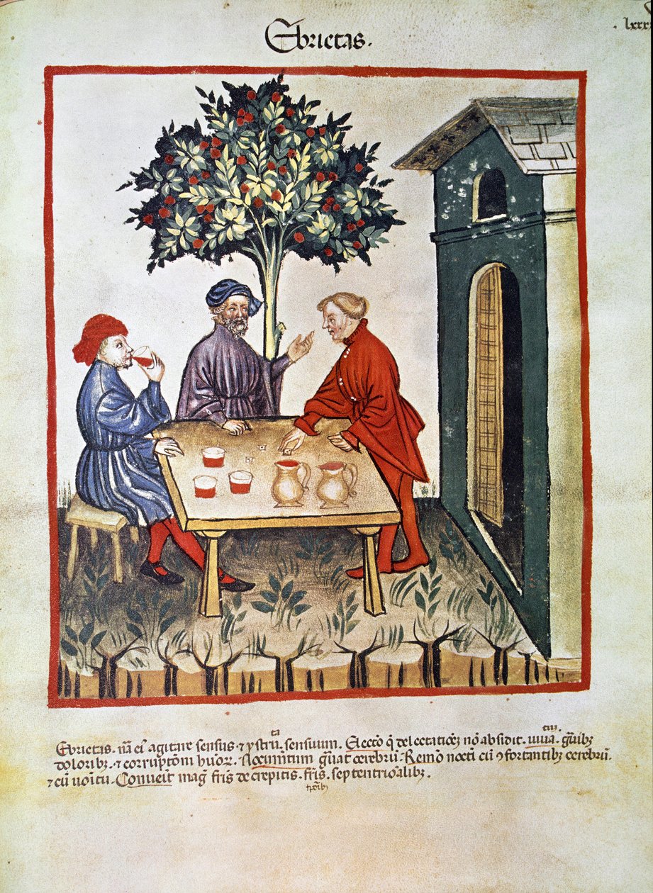 Behandl medicin: "" drukkenskab"" Side taget fra "" Tacuinum sanitatis"" (Cod. ser. nov. 2644) Omkring 1400 Wien, Østrigs Nationalbibliotek af Unknown artist