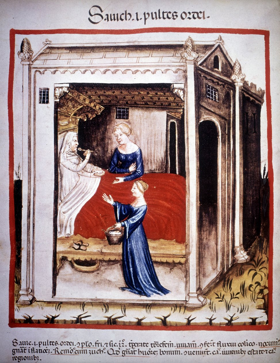 Afhandling om medicin "" Tacuinum sanitatis""" 1300-tallet: en patient assisteret af sygeplejersker. B.N., Wien. af Unknown artist