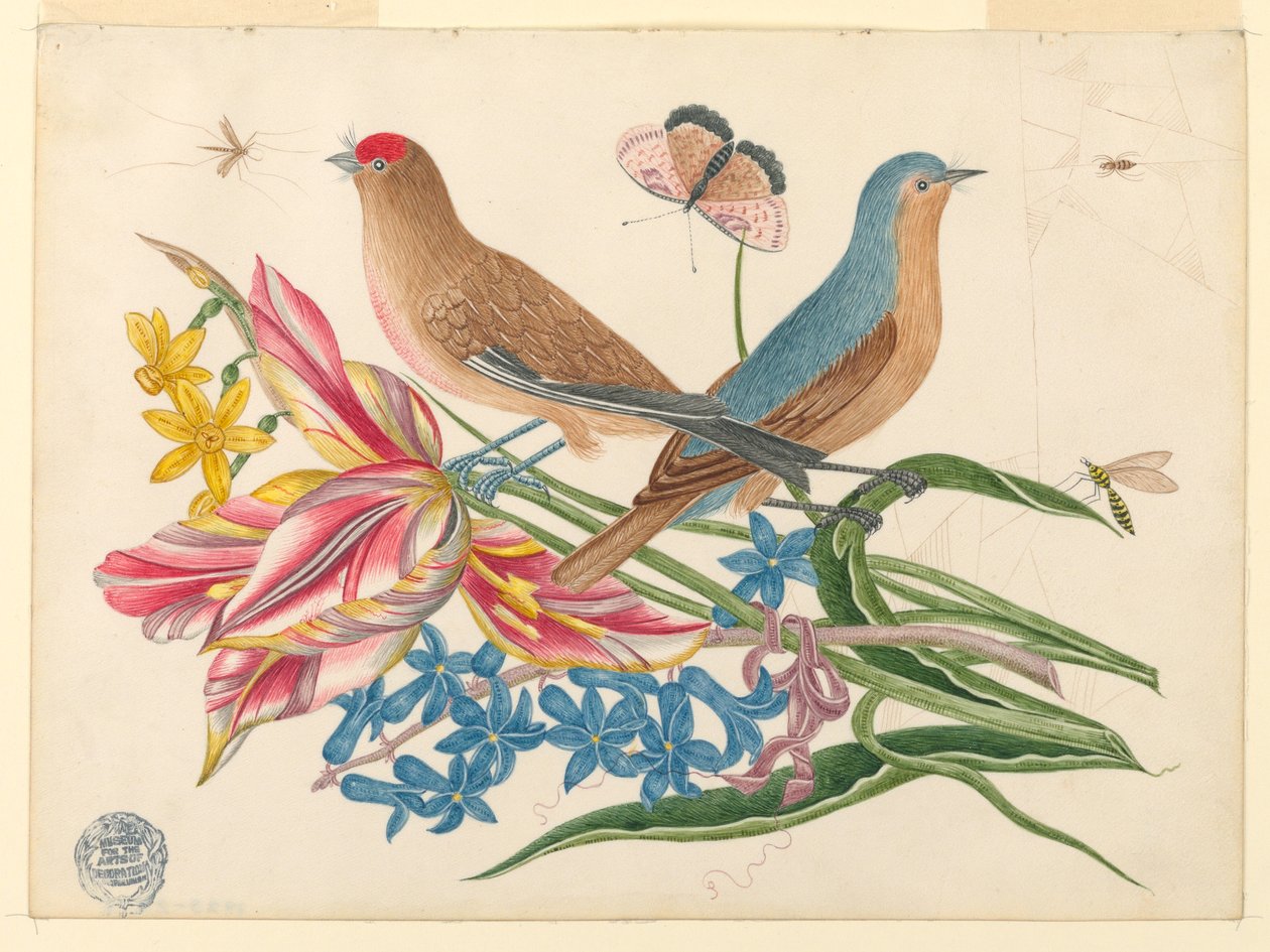 To Fugle på en Tulipangren med Insekter af Unknown artist