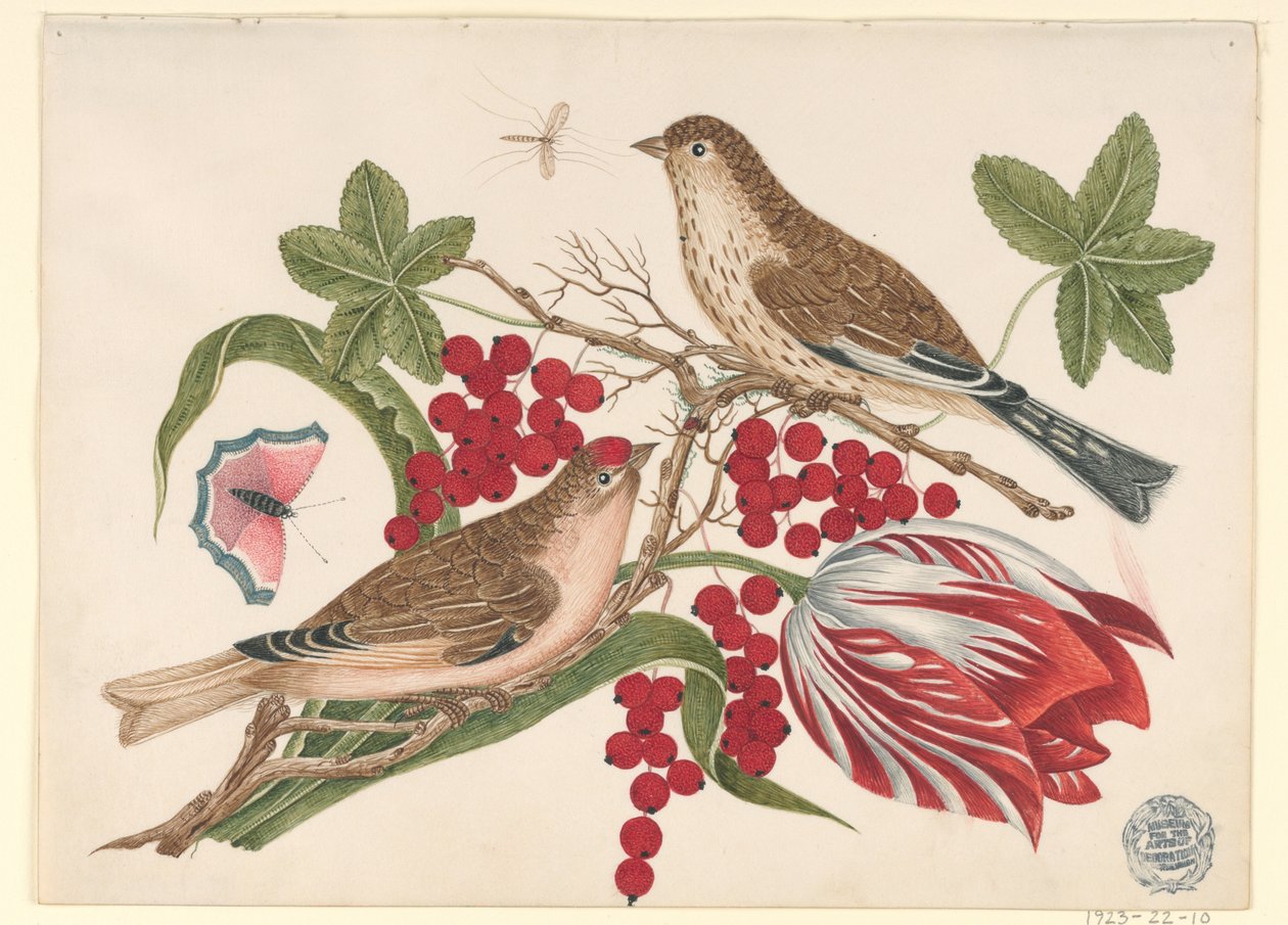 To brune fugle på gren med tulipaner, bær og insekter af Unknown artist