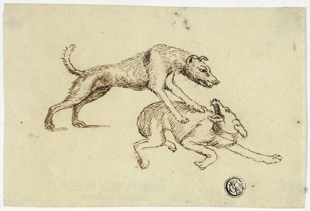 To hunde kæmper af Unknown artist