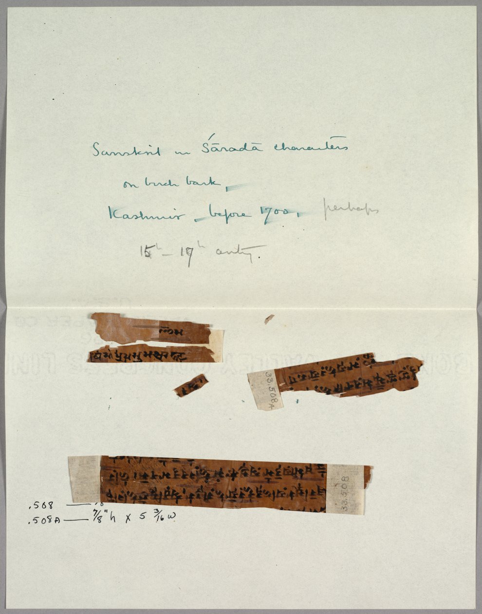 To Fragmenter af Bark med Sanskrit af Unknown artist