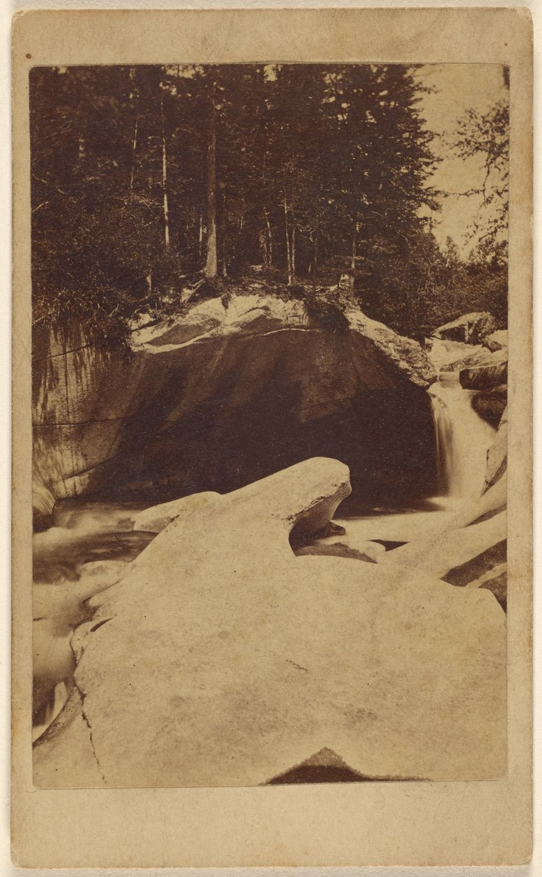 [Uidentificeret skovbillede med klipper og hule]. af Unknown artist