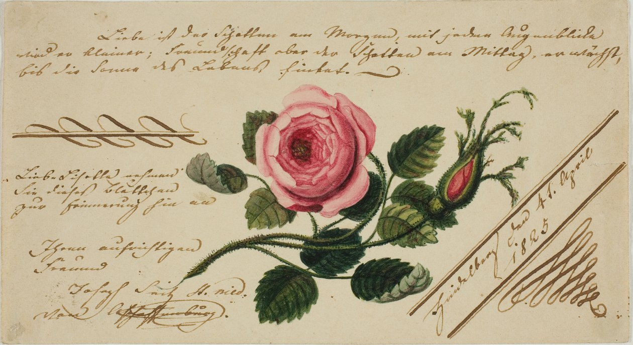 Unavngivet Valentine (Pink Flower) af Unknown artist