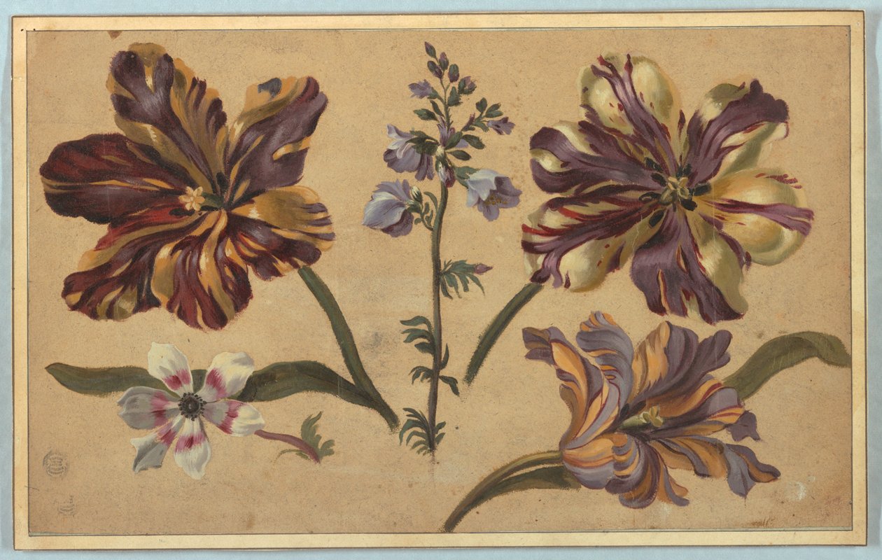 Forskellige blomster af Unknown artist
